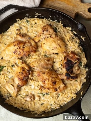 Charred chicken thighs over a bed of creamy orzo.