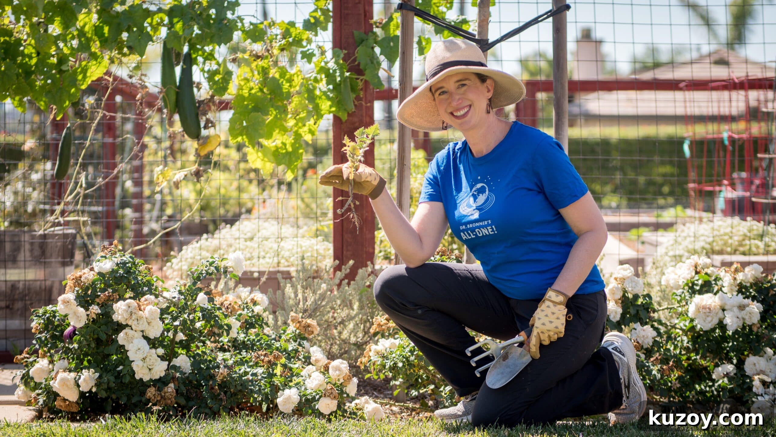 Natural Weed Control: Effective Organic Methods for Your Garden 2 img 9794 1