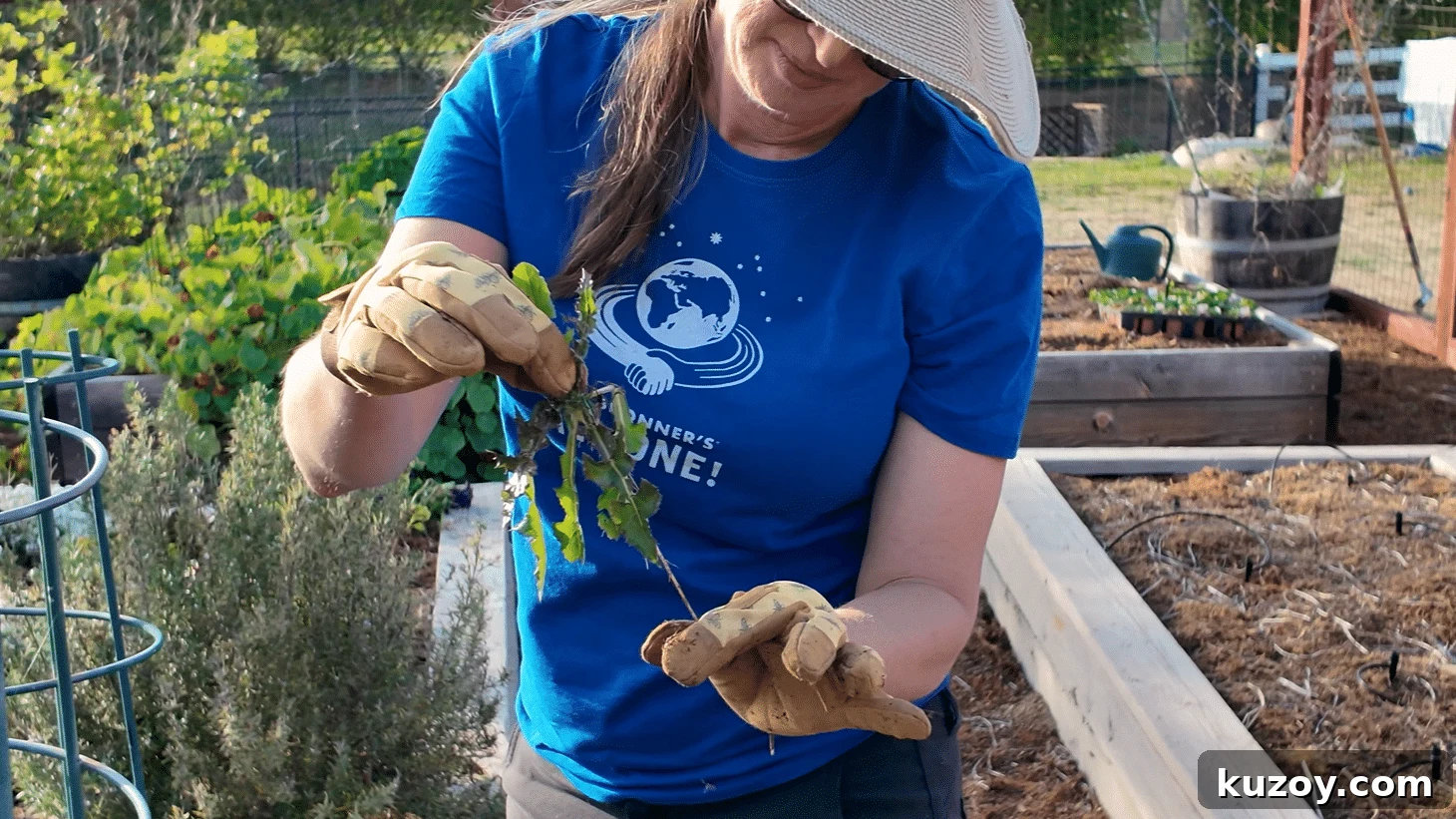 Natural Weed Control: Effective Organic Methods for Your Garden 5 img 9794 4