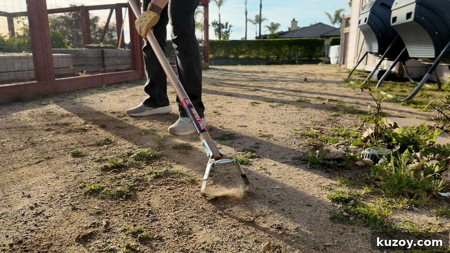 Natural Weed Control: Effective Organic Methods for Your Garden 6 img 9794 5