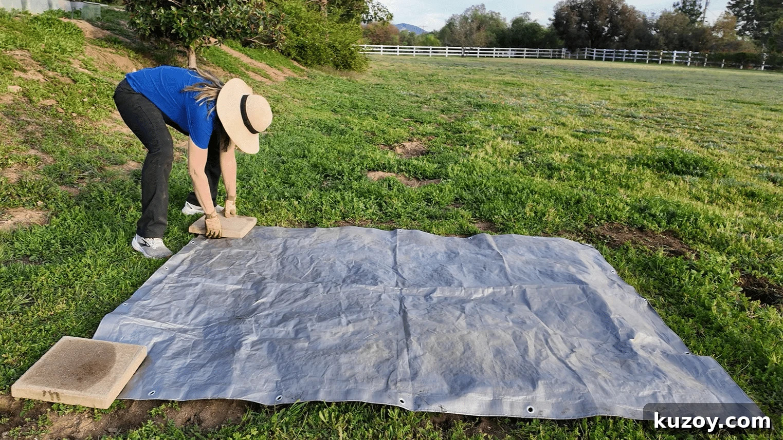 Natural Weed Control: Effective Organic Methods for Your Garden 8 img 9794 7