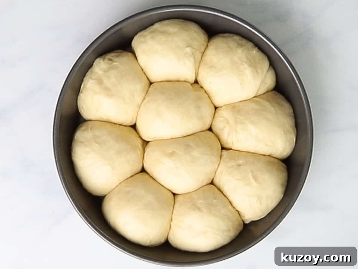 Homemade Brioche Rolls Recipe for Soft, Buttery Loaves 11 Brioche rolls proofing in a round baking pan until it doubles in size.