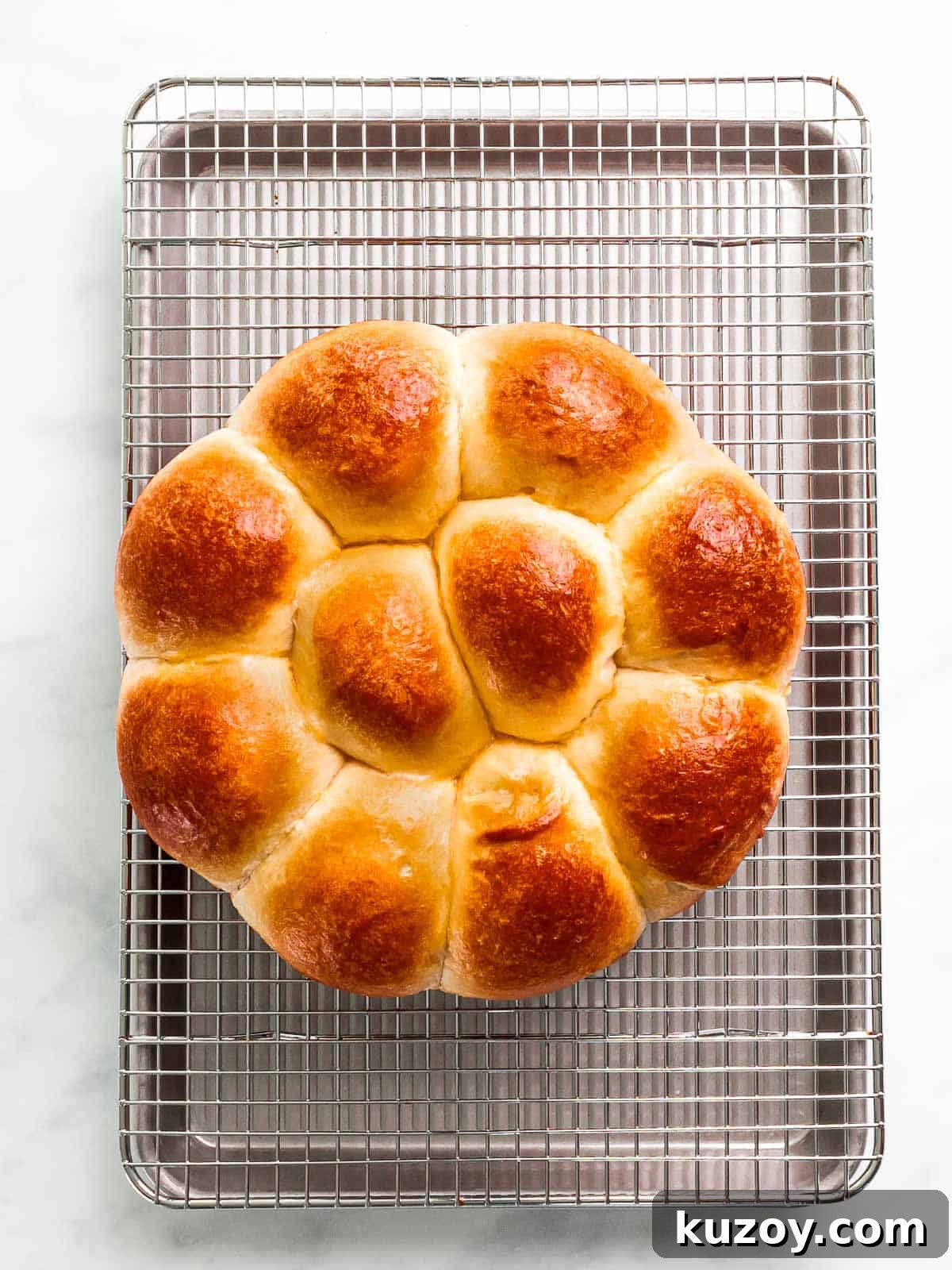 Homemade Brioche Rolls Recipe for Soft, Buttery Loaves 12 Brioche rolls baked until golden brown resting on a cooling rack.