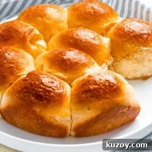 Homemade Brioche Rolls Recipe for Soft, Buttery Loaves 15 Sweet buttery brioche rolls baked until golden brown.