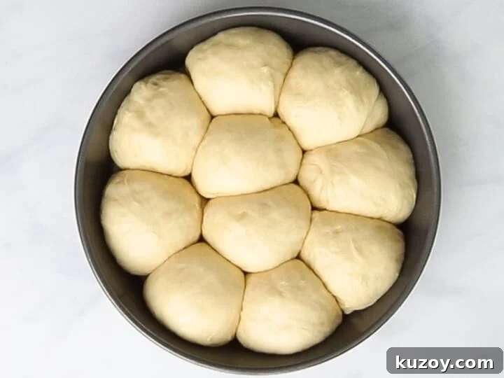Homemade Brioche Rolls Recipe for Soft, Buttery Loaves 20 Brioche rolls proofing in a round baking pan until it doubles in size.