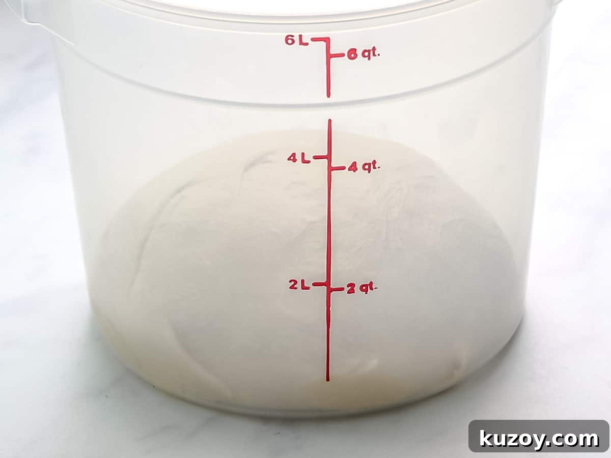 Homemade Brioche Rolls Recipe for Soft, Buttery Loaves 8 Brioche dough in a translucent container ready for proofing.
