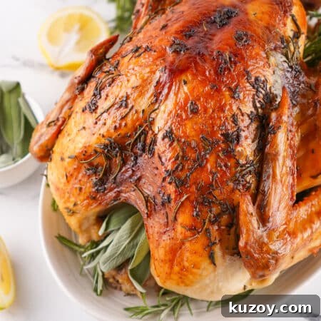 Herb-Butter Roasted Turkey Recipe for Juicy, Flavorful Results 9 top view of herb butter roasted turkey