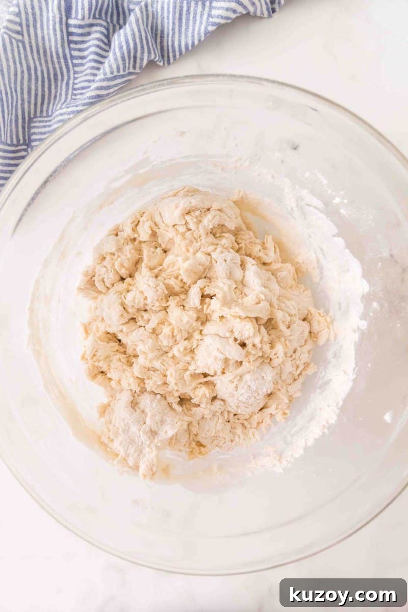 Ball of French bread dough just before kneading in a mixing bowl – Hostess At Heart
