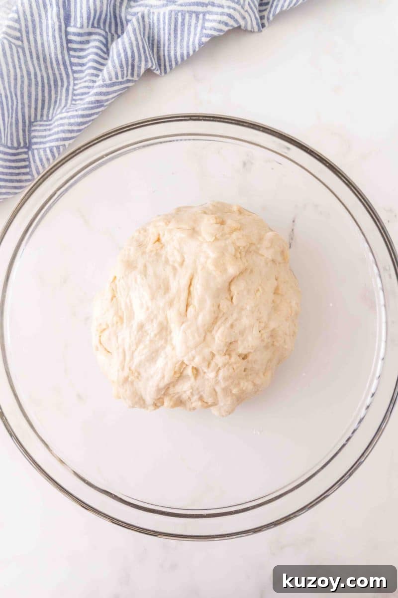 Ball of French bread dough after kneading in a mixing bowl – Hostess At Heart