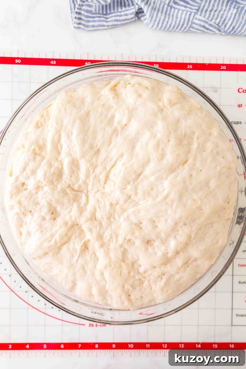 Doubled French bread dough in an oiled bowl after first rise – Hostess At Heart