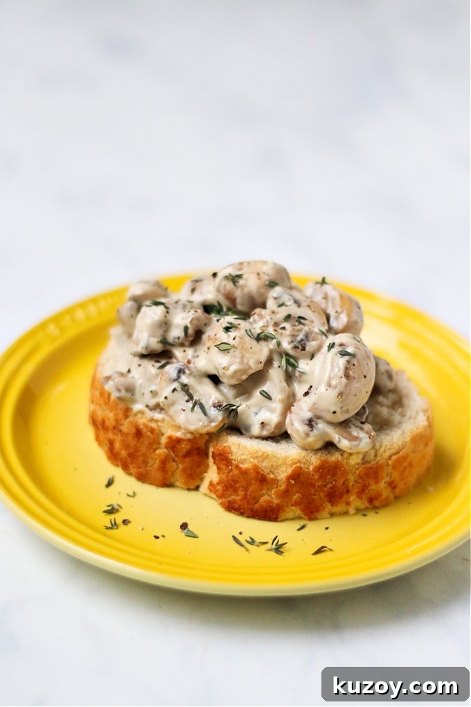 Creamy Mushrooms On Toast