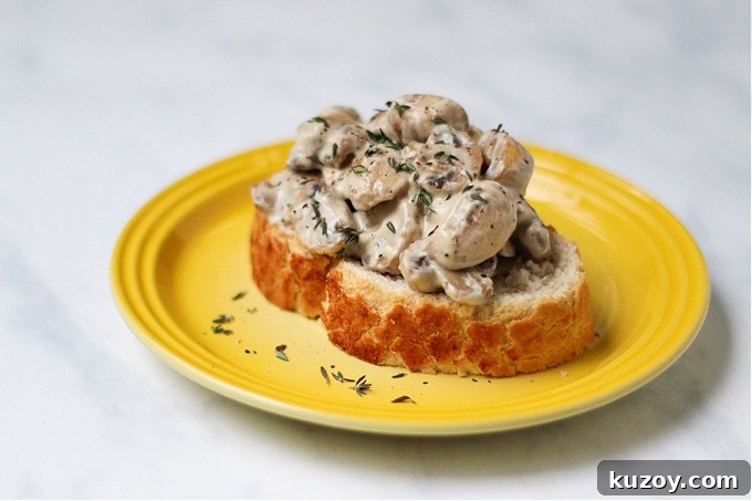Creamy Mushrooms On Toast