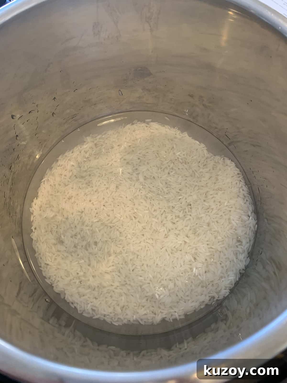 uncooked rice and water in an instant pot.