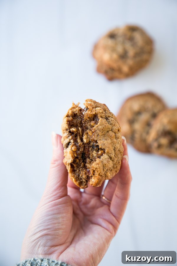 hand holding gluten-free healthy oatmeal cookie broken in half
