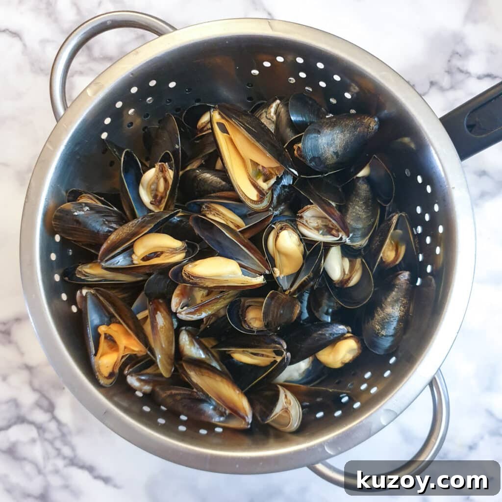 A colander filled with cooked mussels in their shells.