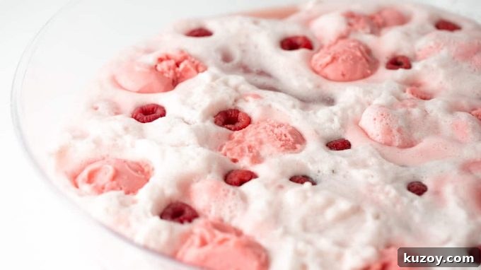 Bowl of Raspberry Sherbet Punch