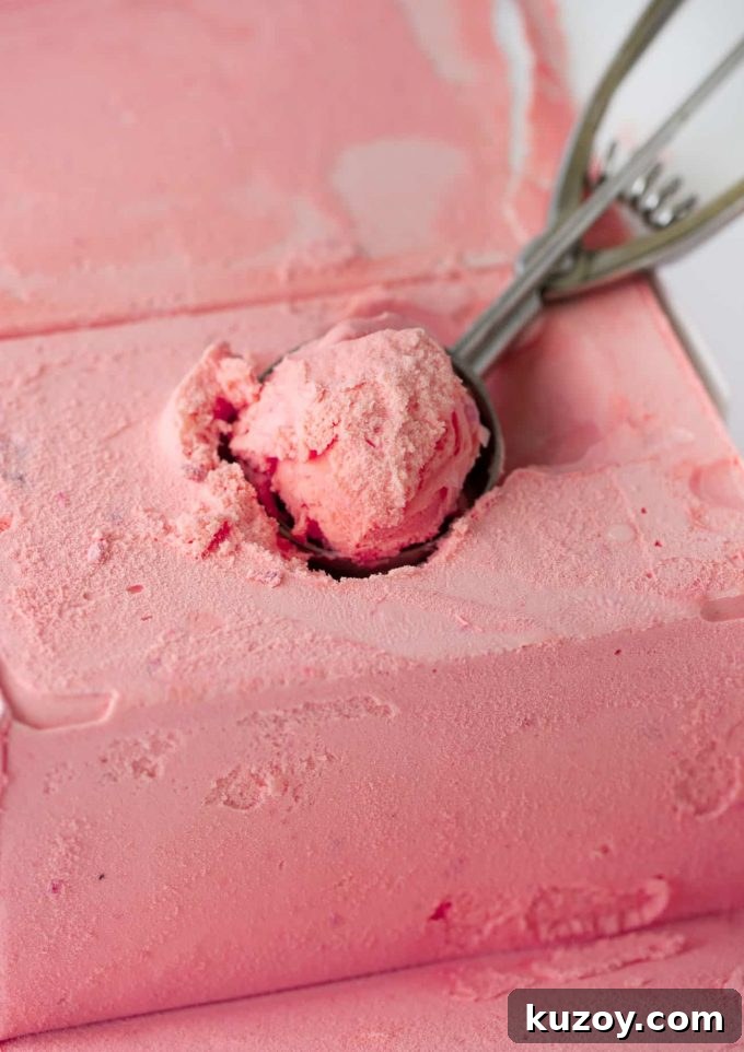 scooping raspberry sherbet