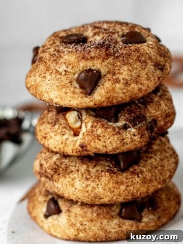 Snickerdoodle Chocolate Chip Cookies