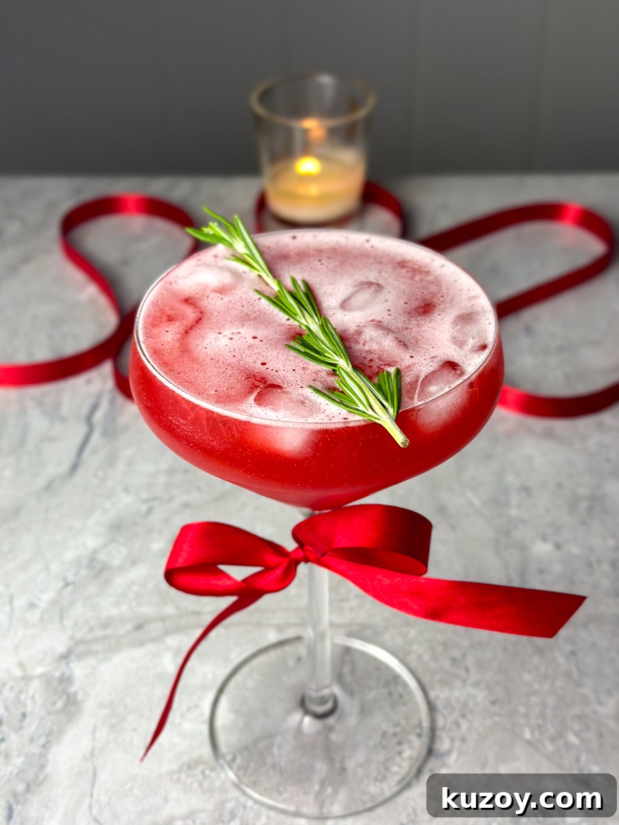 HOLIDAY CRANBERRY MOCKTAIL