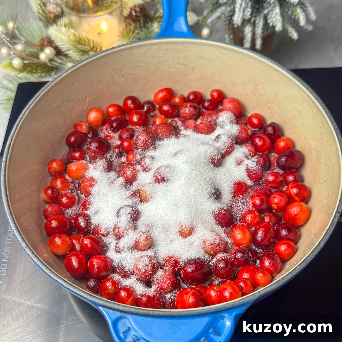 Add cranberries, sugar & lemon juice to a saucier