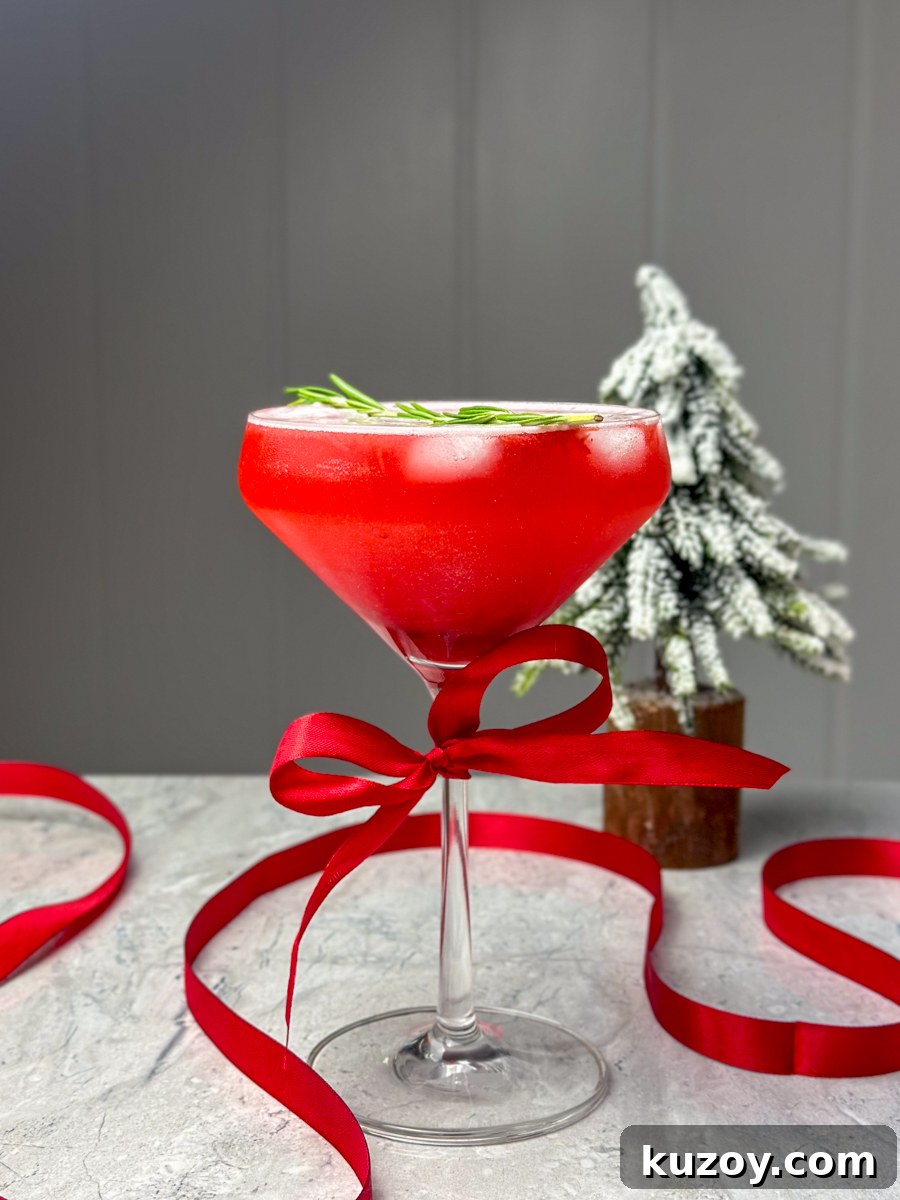 HOLIDAY CRANBERRY MOCKTAIL