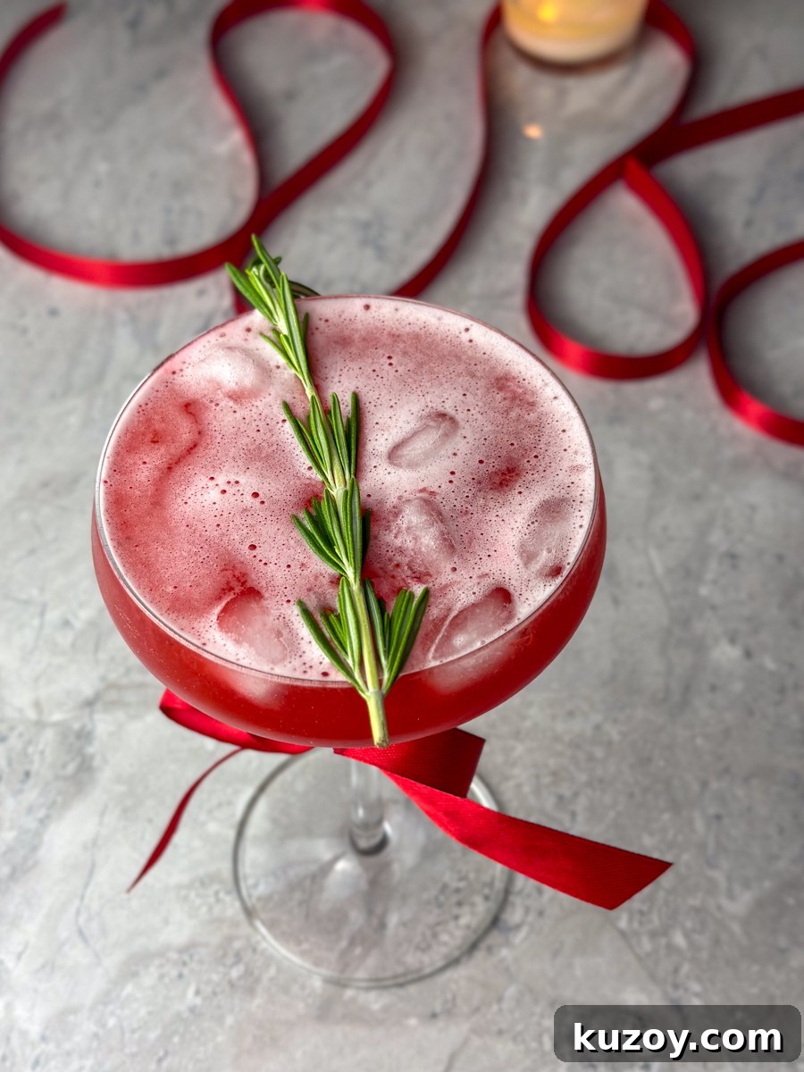 HOLIDAY CRANBERRY MOCKTAIL