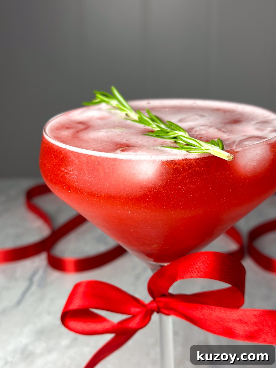 HOLIDAY CRANBERRY MOCKTAIL