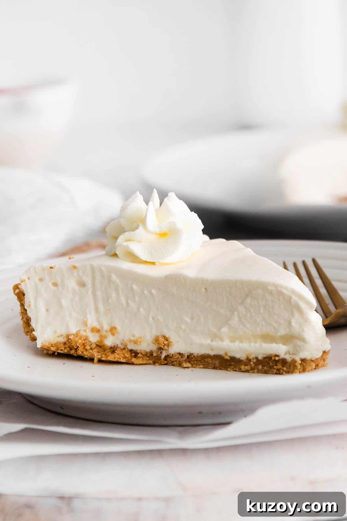 A slice of gluten-free no-bake cheesecake on a plate